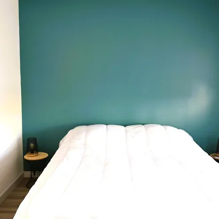 1 Chambre, Garage, Acces Direct - Fr-1-197-527